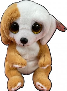 img_9685.png