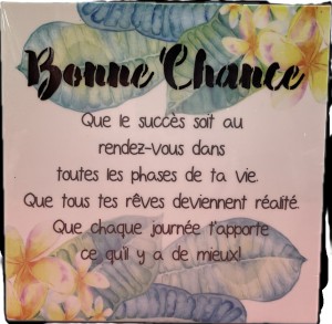 img_9955.png