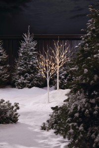 canvas-4-birch-tree-2-pack-warm-white-7eca8786-594e-455c-938f-2fe4f6fa6449-jpgrendition.jpg